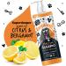 BUGALUGS Stinky Dog Shampoo with odour neutraliser fox poo shampoo for dogs with dog perfume vegan dog grooming dog shampoo for sensitive skin amazing puppy pet shampoo & conditioner (1x500ml) - Buy Online on GoSupps.com