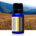 Yeouth Therapeutic Essential Oil Starter Pack - 6 x 10ml - Pure Aromatherapy - Buy Online on GoSupps.com