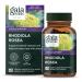 Gaia Herbs Rhodiola Rosea 60 Vegan Liquid Phyto-Caps