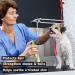PETSILK Silk Sheen - Luxurious Pet Grooming Silk Serum - Buy Online on GoSupps.com