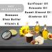 Bay Rum Beard Balm with Shea Butter & Beeswax | 1 oz Leave-in Conditioner for Men - Perfect Styling Balm  - Buy Online on GoSupps.com