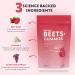 Natrava Beets+ Gummies - Premium Beet Root Powder Grape Seed Extract and Vitamin C - Supports Healthy Blood Pressure and Heart Health - Low Sugar Nitric Oxide and Circulation Supplement - 50 Gummies - Buy Online on GoSupps.com