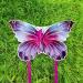 Colorful Butterfly Kite for Kids & Adults - Easy to Fly with Long Tail | Includes String and Bag - Buy Online on GoSupps.com