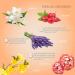 B.C. Beauty Concepts Aromatherapy Bath Salts - 5 Pack Epsom Salts for Relaxing Spa Bath (Floral Scent) - Buy Online on GoSupps.com