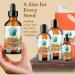 Pure Sea Buckthorn Oil 236 ml Unique Nutrient Blend Nourishing Non-Greasy Radiant Glow for Skin Softness for Hair Bella Terra Oils  - Buy Online on GoSupps.com