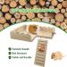 BNOSDM Hamster Wooden Platform with Climbing Ladder - Cage Accessories for Small Animals - Buy Online on GoSupps.com