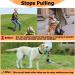 Barkeless Dog Handlebars | Reflective No-Pull Training Device for Medium & Large Dogs - Includes Training Instructions (Turquoise) - Buy Online on GoSupps.com