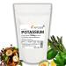 60 g lules de chlorure de potassium pur 750 mg pour v g talien (2 mois d'approvisionnement) Convient aux v g taliens v g taliens (60)