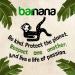 Barnana Organic Plantain Chips - Acapulco Lime 5oz (3 Pack) - Salty Crunchy Snack Cooked in Coconut Oil - Perfect for Everyday Enjoyment - Buy Online on GoSupps.com