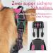 Rabbitgoo Anti-Pull Dog Harness for Medium Dogs - Adjustable Breathable No-Choke Design with Reflective Stripes - Perfect for Training & Safe Guidance - Pink (1 Pack) - Buy Online on GoSupps.com