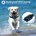 Remote Anti-Bark Dog Collar with Spray/Vibration/Sound/Light - Effective Training System to Stop Barking - Buy Online on GoSupps.com