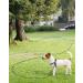 Taglory 20m Towline for Dogs | Reflective Rope with Double Hook | Durable 8mm Black Leash - No Handle (1 Pack) | International Shipping - Buy Online on GoSupps.com