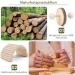 Erkoon 12-Piece Natural Wood Hamster Toy Set - Exercise Bell Rollers & Dental Molar Toys for Chinchillas Rabbits & Guinea Pigs - Buy Online on GoSupps.com