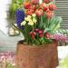 Natural Coconut Fiber Mat - Cuttable Garden Hanging Basket & Terrarium Liner | 25x100 cm for Reptiles & Plants - Buy Online on GoSupps.com