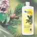 Sauna Infusion 'Saunamed' 1000 ml by Spitzner - Enhance Your Sauna Experience Worldwide - Buy Online on GoSupps.com
