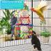 Bissap Conure Toys - Foraging Shredder Hanging Toy with Sola Balls and Bell for Small Parrots, Parakeets, Conures, Cockatiels, Love Birds - Cage Toy - Buy Online on GoSupps.com