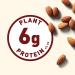CLIF Organic Maple Almond Butter Nut Butter Bar - Plant Protein Snack Bars - Non-GMO - 15 Count (1.76 oz) - Buy Online on GoSupps.com