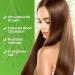 100% Pure Natural Rosemary Oil - Multipurpose Hair Oil for Growth Nourishing Scalp & Strengthening Hair - Buy Online on GoSupps.com