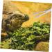 GRIRIW Reptile Feeding Clip Terrarium Supplies Feeding Tongs Silver Stainless Steel - Buy Online on GoSupps.com