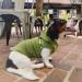 Gooby Fleece Vest Hoodie Dog Sweater - Green X-Small | Winter Pullover with Leash Ring | Small and Medium Dogs Boy/Girl | Chest 11 | Cat Compatible - Buy Online on GoSupps.com