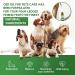 5% Hemp Oil for Dogs and Cats - Hemp Oil for Animal Care - German Quality - 10 ML - 250 Drops - Balance Between Omega-3 and Omega-6 - Buy Online on GoSupps.com