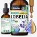 BIO KRAUTER Lobelia Tincture for Lung Cleanse & Detox - Pure Vegan Lobelia Herb Liquid Extract - 2 Fl.Oz. 84 Days of Supply - Respiratory Support Supplement - Alcohol & Sugar Free Non-GMO 2 Fl Oz (Pack of 1)