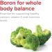Vibrant Health Super Natural Boron â€“ 60 Vegetable Capsules for Bone & Hormonal Support - Buy Online on GoSupps.com
