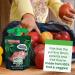 GoGo SqueeZ Fruit and VeggieZ Dino Kids Snacks Variety Pack - 20 Pouches, Roarrrr Berry, Jurassic Pear, Prehistoric Peach Flavors - Nut, Dairy, Gluten Free - Perfect Snacks for Kids - Buy Online on GoSupps.com