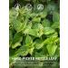 TeeLux Nettle Leaf Tea Bags 100 Count Stinging Nettle Tea Pure Natural Nettle Leaf Herbal Tea Caffeine Free Biodegradable Tea Bags Nettle Tea 100 Count (Pack of 1) - Buy Online on GoSupps.com