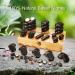 Master Massage Hot Stone Set - 60 Decorative Stones in Bamboo Box for Relaxing Spa Experience - Buy Online on GoSupps.com