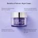 Super Facialist Retinol+ Anti-Ageing Night Cream - 50ml Vegan Face Cream with Retinol & Hyaluronic Acid for Fine Lines & Wrinkles - Smooth Skin Formula - Buy Online on GoSupps.com
