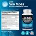 Sea Moss & Super Antioxidants Supplement - 3000mg Sea Moss 2000mg Black Seed Oil Ashwagandha Turmeric & More - 120 Count (Pack of 2) | International Shipping Available - Buy Online on GoSupps.com