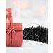 360 Pcs 2 Inch Black Bobby Pins with Secure Hold - Premium Hair Pins for Kids, Girls, and Women with Store Box - Buy Online on GoSupps.com