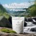 Adapt Naturals Daily Wellness Bundle Bio-Avail Multivitamin & Magnesium Glycinate Supplement for Men & Women 30-Day Supply - Buy Online on GoSupps.com