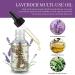 NP Lavender Multi-Use Oil for Face, Body & Hair - 1 Fl Oz | Organic Essential Oil for Dry Skin, Scalp & Nails - Buy Online on GoSupps.com