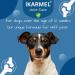 iKarmel Hip and Joint Care Supplements for Dogs - Glucosamine, Chondroitin, Green-Lipped Mussels - Senior to Puppy Treats for Stiff Joints (180 Chews) - Buy Online on GoSupps.com