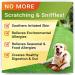 STRELLALAB Allergy Relief Dog Treats with Omega 3, Pumpkin, Enzymes, and Turmeric - Itchy Skin Relief - Made in USA Chicken - 120 Count - Buy Online on GoSupps.com