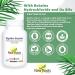 New Roots Herbal Digestive Enzymes with HCL 100 Veg Capsules - Comprehensive Digestive Support Supplement for Men & Women Eases Discomfort Includes Papaya & Lipase Enzymes Pancreatic Function Aid - Buy Online on GoSupps.com