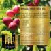 Hair and Scalp Treatment - Miracle Fruit Seed Oil (1.7 oz) | Clinically Proven Repair for Oily & Dry Hair | Ultralight Formula - Buy Online on GoSupps.com