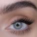 SWEED T te T te False Lashes - Vegan Cruelty-Free Brown Lashes | Clean Beauty for International Shipping - Buy Online on GoSupps.com