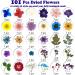 LUCISKY 204 Pcs Pressed Dried Flowers & Butterfly Stickers - Natural Real Flowers for Resin, Nails, Scrapbooking - DIY Art Crafts - Buy Online on GoSupps.com