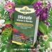 Natures Aid Ultimate Greens & Berries 60 Capsules - Superfood Supplement for Energy and Immunity - Buy Online on GoSupps.com