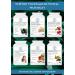 Complementary Supplements - Energy Boost Complex - Concentrated Energy Formula High in Antioxidants & Natural Iron - Montmorency Cherry Beetroot Turmeric VIT B6 Vegan 60 Capsules - Buy Online on GoSupps.com