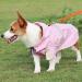PETCUTE Dog Raincoat - Waterproof Windproof & Reflective - Adjustable Rain Jacket for Small Medium & Large Dogs - 3XL Pink - Buy Online on GoSupps.com