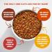 Meow Mix Tender Centers Dry Cat Food - Salmon & Chicken - 13.5lb Bag - Buy Online on GoSupps.com