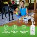Dog & Cat Laundry Wash - 32 oz Enzyme Pet Detergent | Eliminates Odors & Stains Effortlessly - Buy Online on GoSupps.com