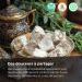 Extra Pistachio Turkish Delight 500g I Koska Pistachio Turkish Delight | Gift Size 500 gr | Traditional Luxury Confectionery | Vegan | Halal | Kosher | Lokum Soft Candy | Gluten Free - Buy Online on GoSupps.com