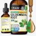 BIO KRAUTER Goldenseal Root - Pure Vegan Goldenseal Tincture 670mg per Serving 2 Fl.Oz 28-Day Supply - Immune & Respiratory Support - Liquid Golden Seal for Digestive Support - Alcohol & Sugar Free 2 Fl Oz (Pack of 1)