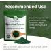 Aimgrow Organic Spirulina Powder Protein-Rich Spirulina for Eye Skin and Immune Health Canada Organic Non-GMO and Gluten-Free 454 Grams - Buy Online on GoSupps.com