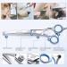 Gimars 6 in 1 Professional Titanium Coated Stainless Steel Dog Grooming Scissors - Safety Round Tip Heavy Duty Pet Scissors for Dogs, Cats, and More - Blue - Buy Online on GoSupps.com